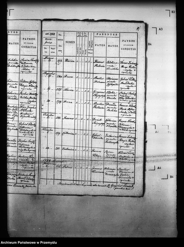 image.from.unit.number "[Kopie ksiąg metrykalnych parafii Majdan Sieniawski z filiami Adamówka, Krasne (dekanat Sieniawa)]"