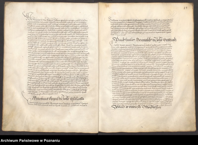 Obraz 17 z jednostki "Acta consularia civitatis Posnaniensis"