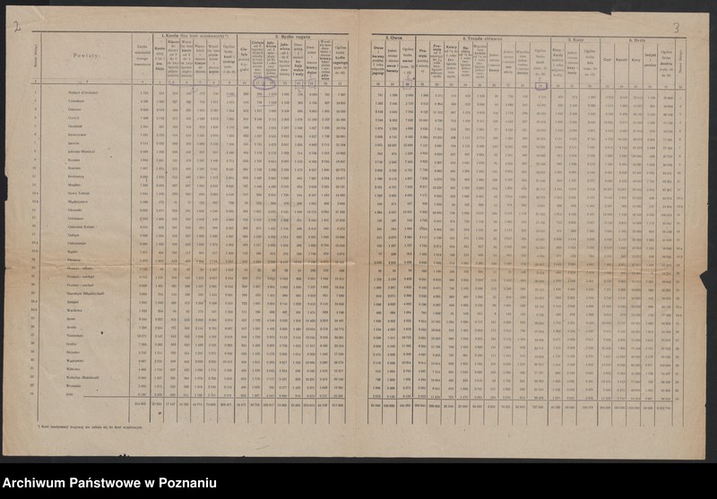 Obraz 4 z jednostki "[Spis inwentarza żywego w Księstwie Poznańskim w obrębie linii demarkacyjnej z 15 grudnia 1919 roku i inne spisy inwentarza żywego oraz ludności w województwie pomorskim]"