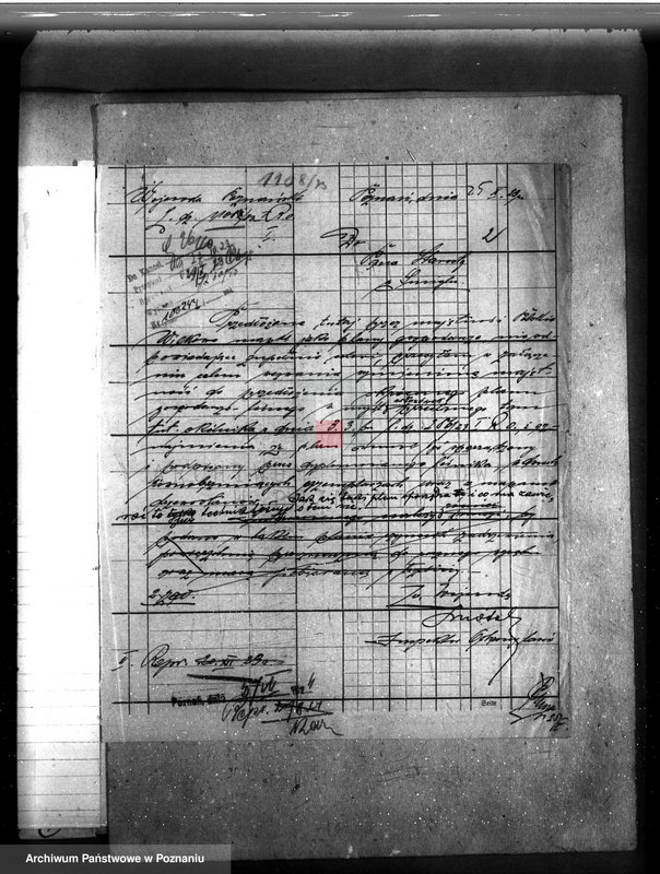 Obraz 6 z jednostki "Majętność /leśna/ Wilkowo Polskie powiat kościański"