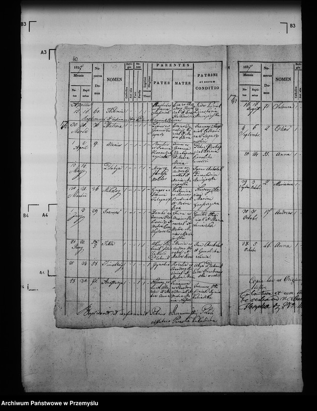 Obraz 13 z jednostki "[Kopie ksiąg metrykalnych parafii Królowa Ruska z filią Bogusza (dekanat Grybów)]"