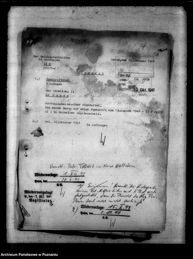 Obraz 11 z jednostki "Tollwut"