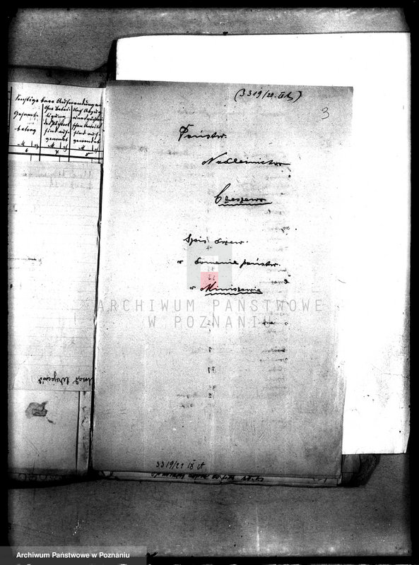 Obraz 7 z jednostki "Drzewostan w majętności państwowej Miniszew"