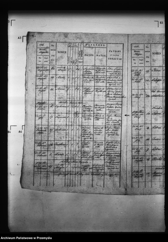 Obraz 17 z jednostki "[Kopie ksiąg metrykalnych parafii Miżyniec z filiami Gdeszyce, Zrotowice (dekanat Niżankowice)]"