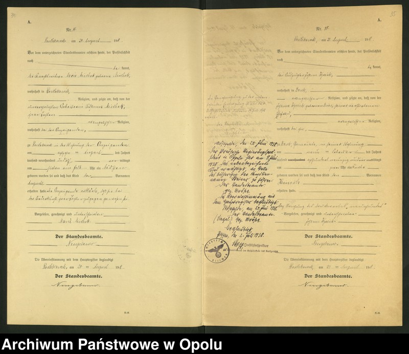 Obraz 20 z jednostki "Geburts-Register (Neben-Register) Standesamt Roschkowitz 1911 No.1 bis 49"