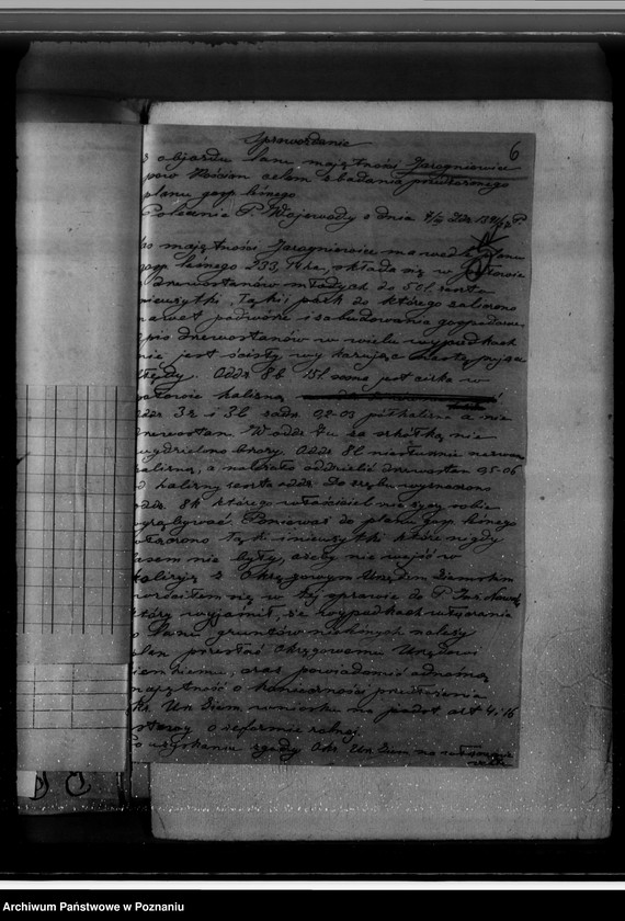 Obraz 10 z jednostki "Gospodarka w lasach majątku Jarogniewice powiat kościański"