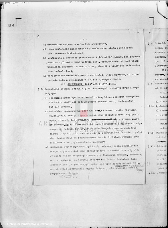 Obraz 7 z jednostki "/Poznański Związek Hodowców Koni w Poznaniu/"