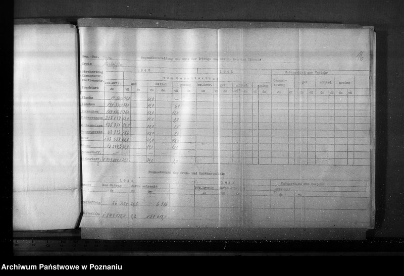 Obraz 20 z jednostki "Porównanie zbiorów zboża, słomy i siana"