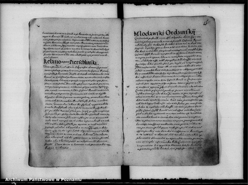 Obraz 19 z jednostki "Inscriptiones, relationes [inducta]"