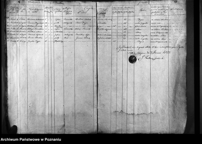 Obraz 14 z jednostki "Duplicatum natorum, copulatorum, mortuorum"