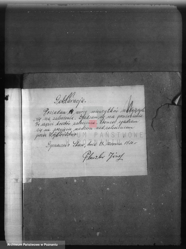 Obraz 15 z jednostki "Zalesienie nieużytków w powiecie poznańskim"