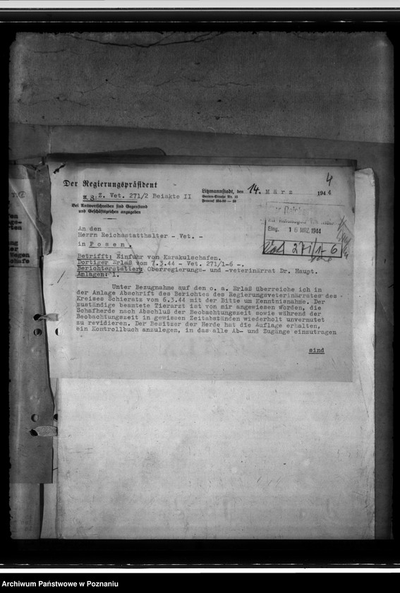 Obraz 8 z jednostki "Einfuhr von Karakulschafen aus den Besetzten Ostgebieten"