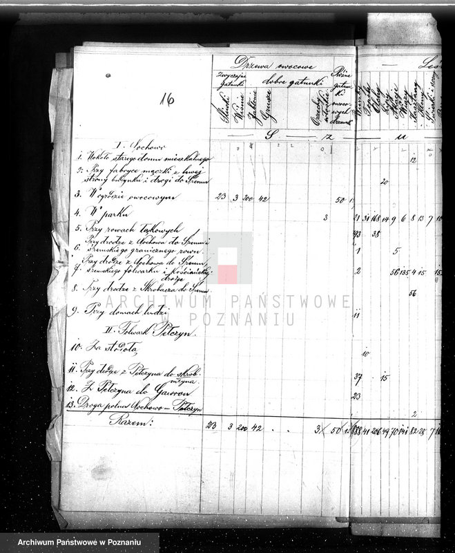 image.from.unit.number "Las majętności Nochowo w powiecie śremskim"