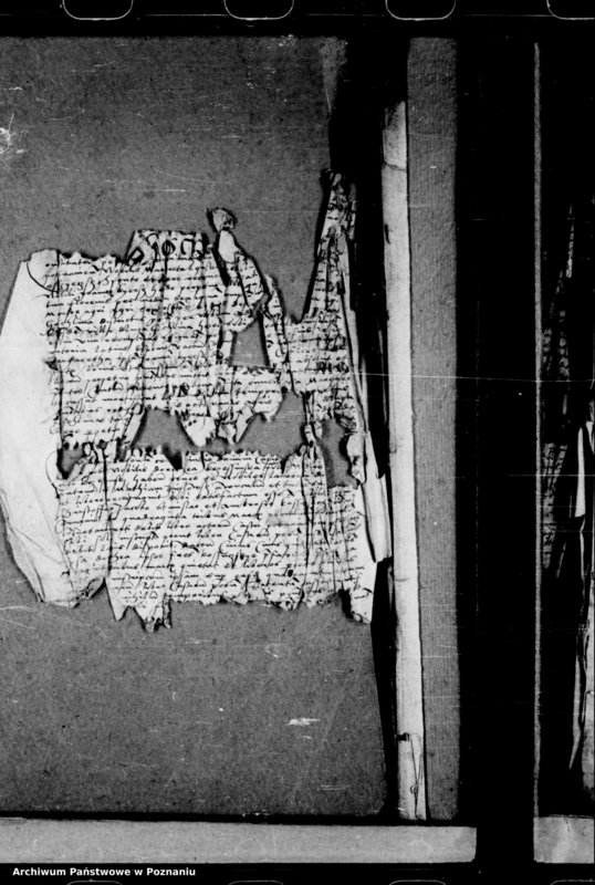 Obraz 3 z jednostki "Inscriptiones, relationes, decreta [inducta]"