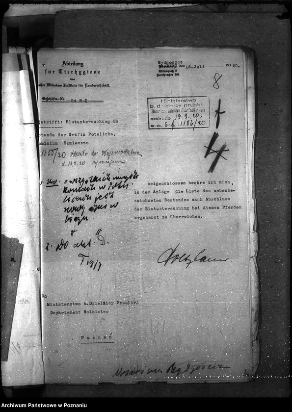 Obraz 12 z jednostki "Nosacizna - Bydgoszcz"