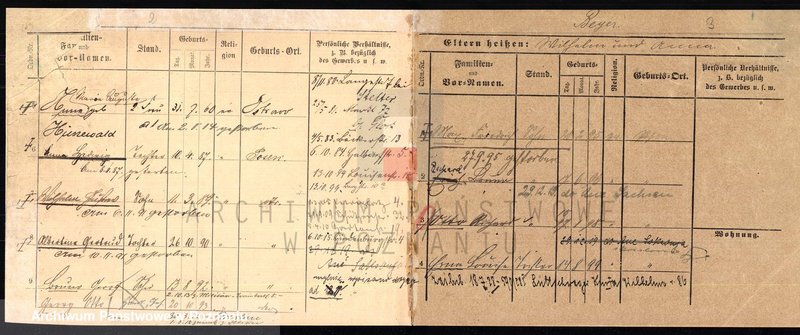 Obraz 4 z jednostki "Bajer (Bayer, Beyer)"