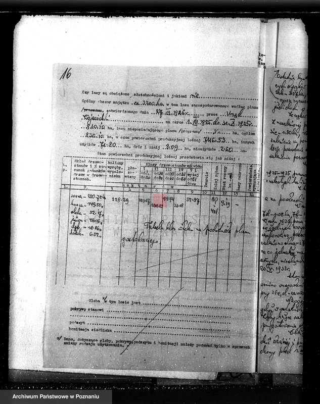 Obraz 20 z jednostki "Nadzór nad gospodarką w lasach majętności Czacz-Białcz powiat kościański"