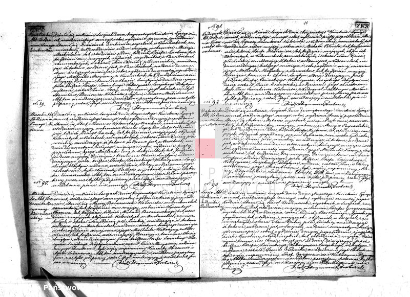 Obraz 19 z jednostki "Duplikat urodzonych, zaślubionych i zmarłych parafii Serejskiej z roku 1868"