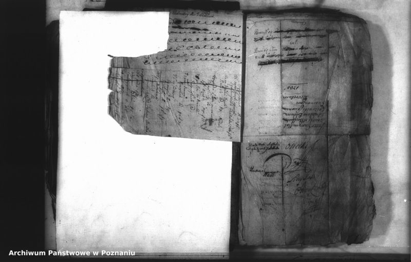 Obraz 5 z jednostki "Relationes [protocollon]"