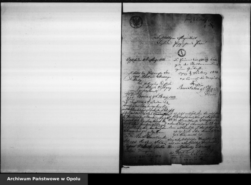 Obraz 5 z jednostki "Acta von Annahme und Vereidung der neuen Bürger bei der Stadt Oppeln"