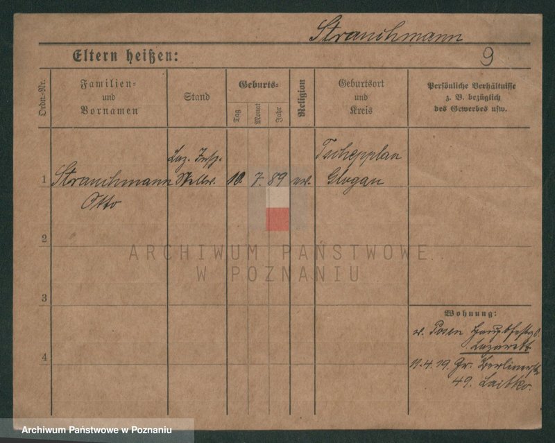 Obraz 20 z jednostki "Strauchman - Striwy (Strü...)"
