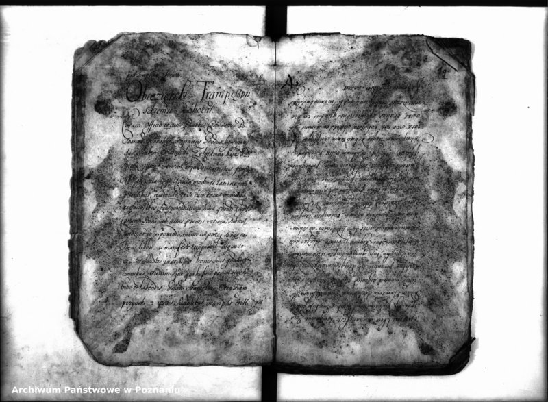 Obraz 10 z jednostki "Inscriptiones, resignationes [protocollon]"