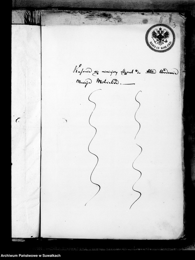 image.from.unit.number "Anneksa Aktów Ślubnych Parafii Mirosławskiej z roku 1868"