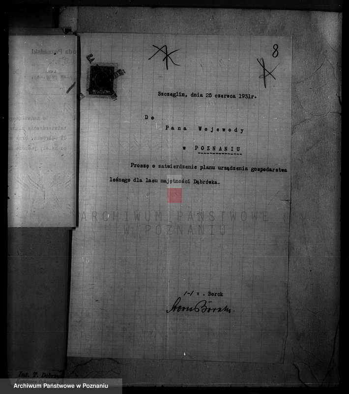 Obraz 12 z jednostki "Majętność /leśna/ Szczeglin Dąbrówka w powiecie mogileńskim"