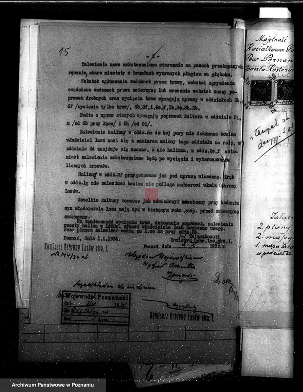 Obraz 19 z jednostki "Majętność leśna Kociałkowo powiat poznański"