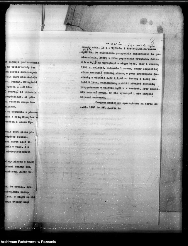 Obraz 11 z jednostki "Program urządzenia gospodarstwa leśnego lasu St. A i M Kaczmarków w gminie Gołuski powiat poznański 1930-1940"