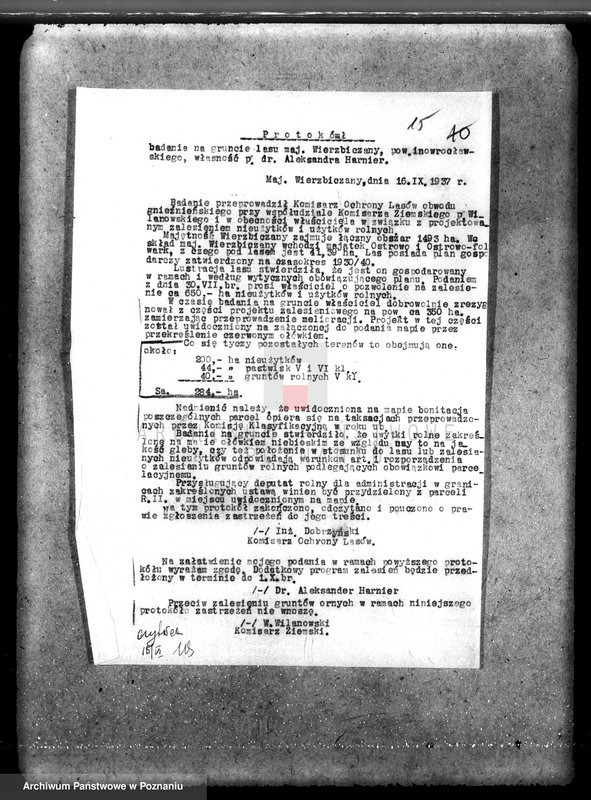 Obraz 19 z jednostki "Majątek Wierzbiczany w powiecie inowrocławskim /nadzór nad gospodarką leśną"