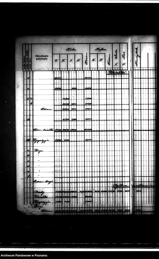 Obraz 10 z jednostki "Tymczasowy rejestr pomiarowy części majątku Chrząstowo powiatu wyrzyskiego"