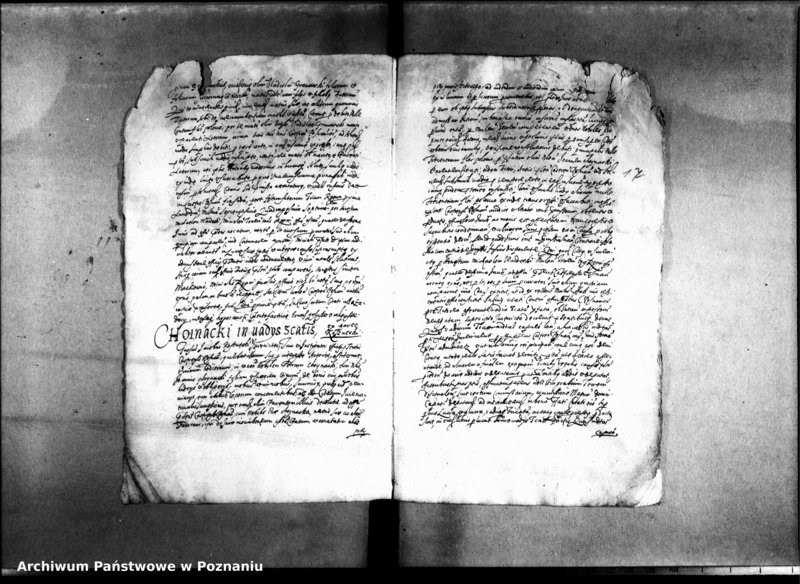 Obraz 19 z jednostki "Decreta officii [inducta]"