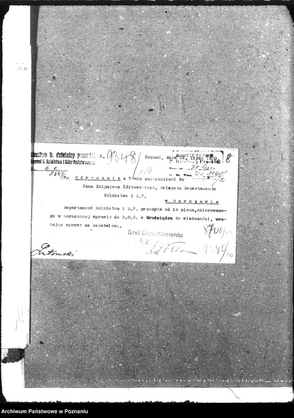 Obraz 12 z jednostki "Domeny"