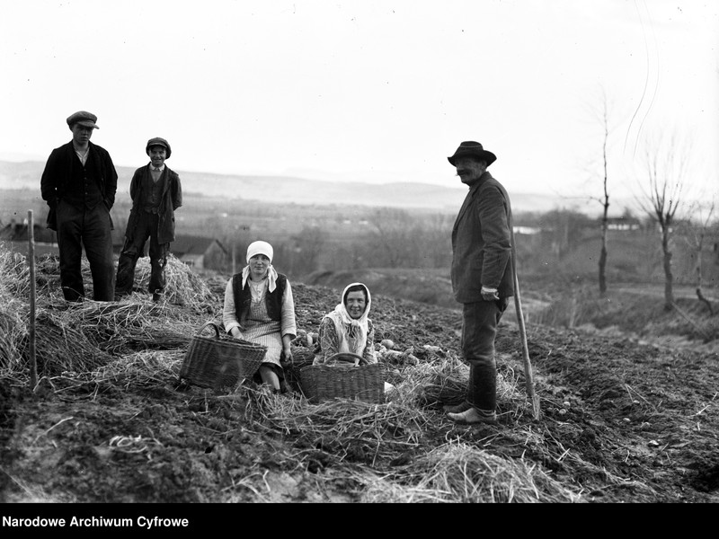 image.from.collection.number "Wiosna, ach to Ty!111"