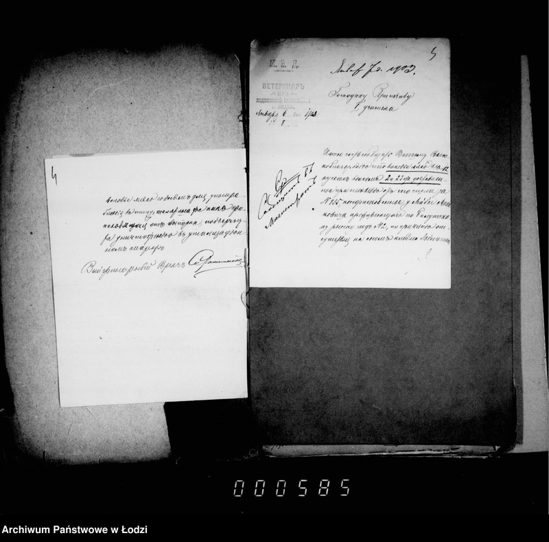 Obraz 7 z jednostki "O raspredelenji mjasa konfiskovannago na lodzinskoj gorodskoj skotobojne"