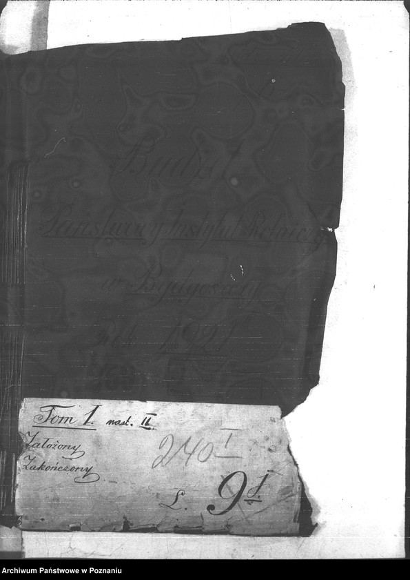 Obraz 4 z jednostki "Budżet - Państw. Naukowego Instytutu Rolniczego w Bydgoszczy rok 1921 - 1922"