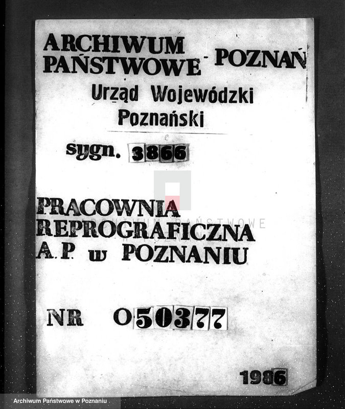 Obraz 1 z jednostki "Las gromady Dominowo powiat średzki"