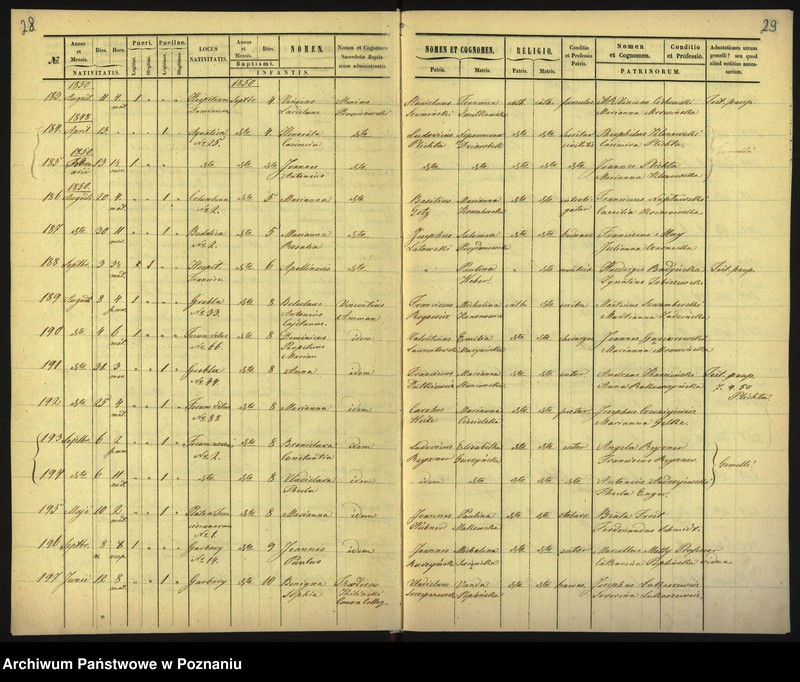 Obraz 17 z jednostki "Księga urodzin"