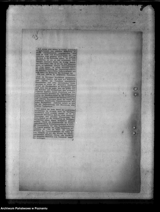 Obraz 17 z jednostki "Tierquälerei an Pferden. Scheuklappen."