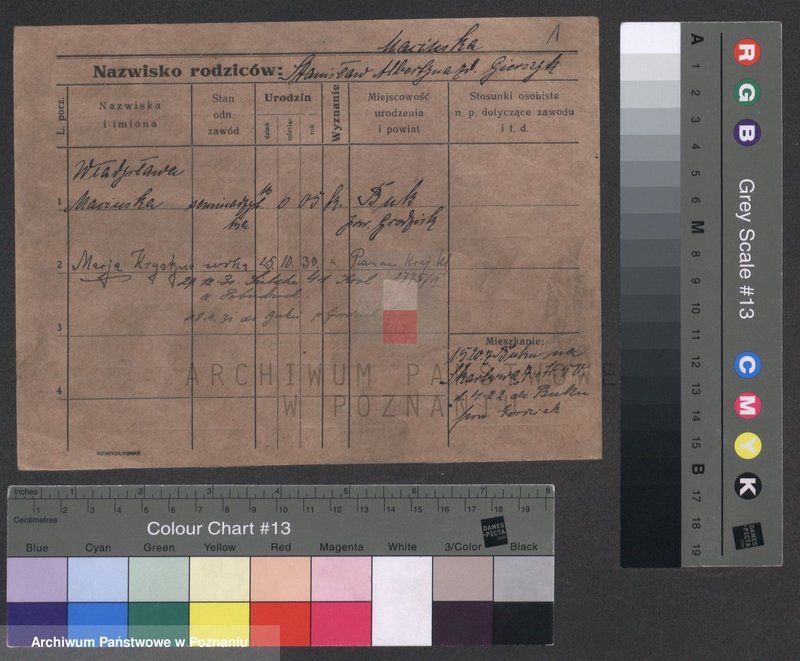 Obraz 3 z jednostki "Mędrzak - Meglich (Moeg..)"