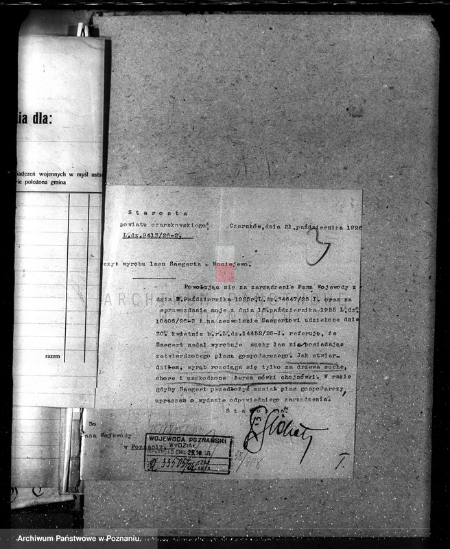 Obraz 7 z jednostki "Nadzór nad lasami majętności Maciejewo w powiecie czarnkowskim"