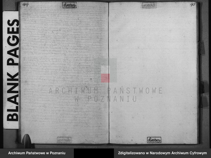 Obraz z zespołu "Akta stanu cywilnego Parafii Rzymskokatolickiej Dłużyna (pow. kościański)"
