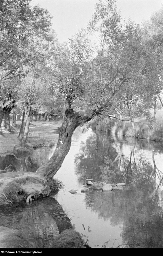 image.from.unit.number "Janowiec"