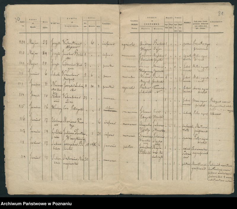 Obraz 13 z jednostki "Księga zgonów"