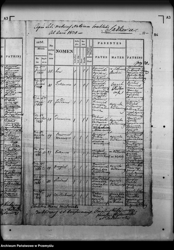 Obraz 18 z jednostki "[Kopie ksiąg metrykalnych parafii Rajtarowice z filiami Rogóźno, Sadkowice (dekanat Mościska)]"