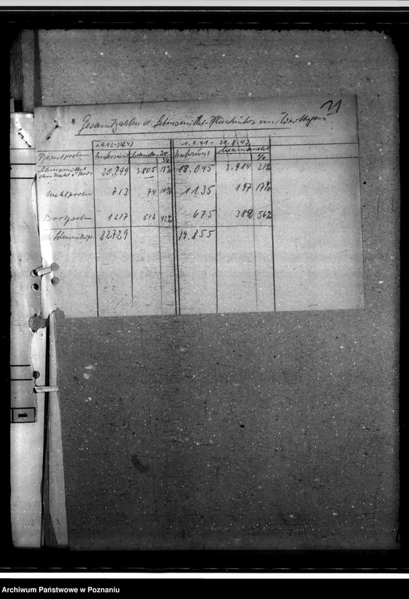 Obraz 16 z jednostki "Programm "Tag der Freiheit" - Leistungsbericht"