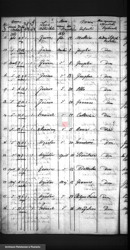 Obraz 6 z jednostki "Duplikat baptisatorum, copulatorum, mortuorum"