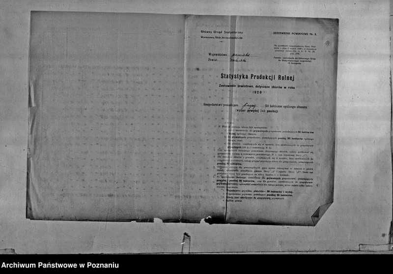 Obraz 13 z jednostki "/Statystyka produkcji rolnej - zestawienie powiatowe - Szubin"