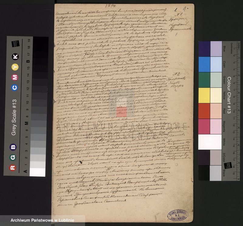 Obraz z jednostki "Księga urodzeń"